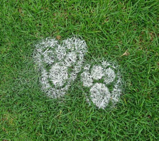Easter Bunny Stencils - set of 2 - Image 4