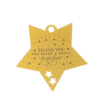 Thank you for being a great teacher