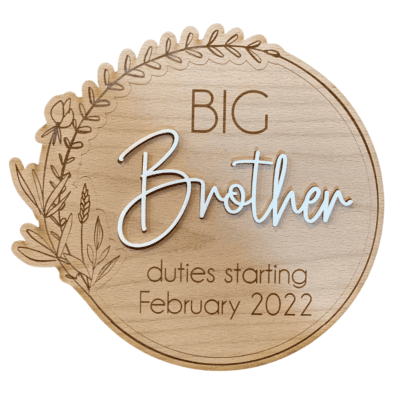 Sibling Pregnancy announcement disc