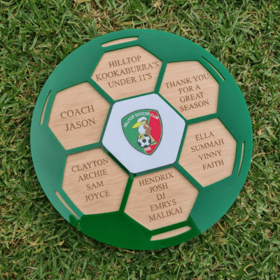 Coach appreciation plaque