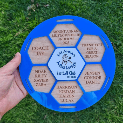 Coach appreciation plaque - Image 5