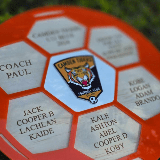 Coach appreciation plaque - Image 6