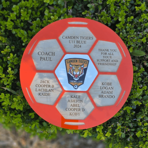 Coach appreciation plaque - Image 7
