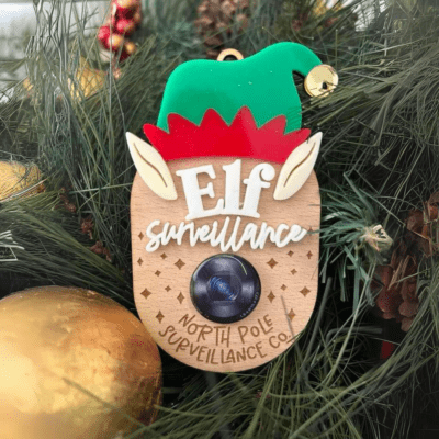 ELF surveillance cam